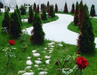 Отель "Paradise Beach" / "Парадайз Бич" Абхазия